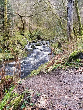 Reelig Glen Highland Walk